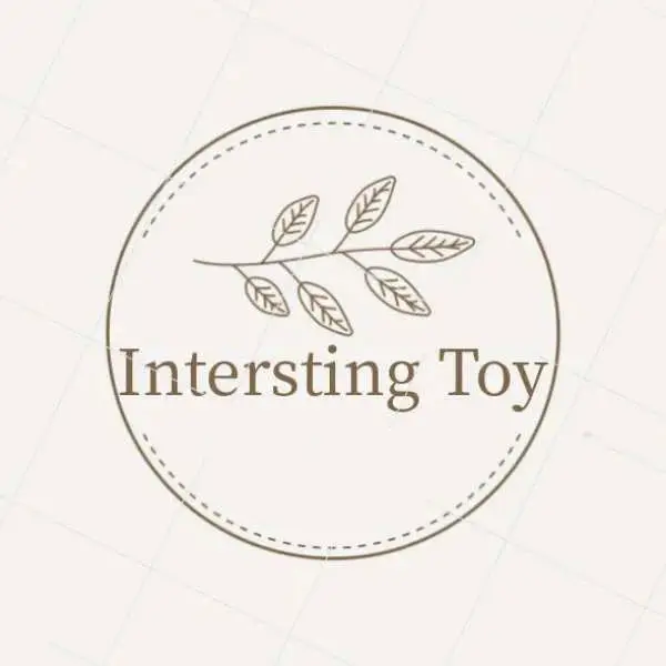 Interesting Toy Store