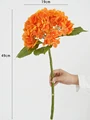 Orange hydrangea