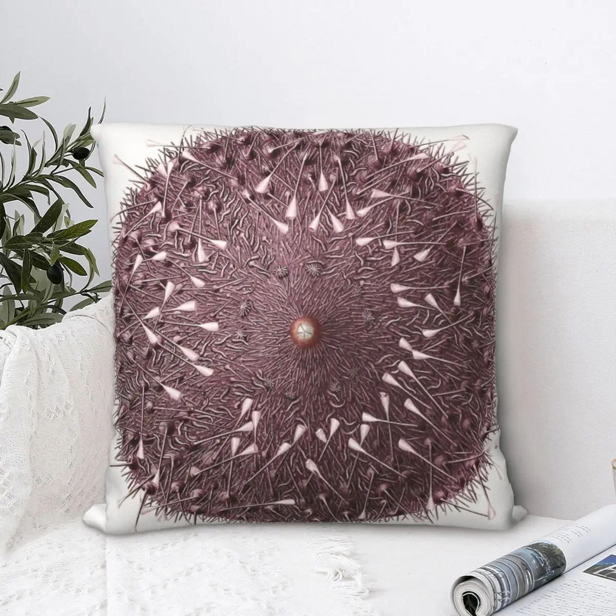 

Sea Urchin By Albert I Square Pillowcase Polyester Pillow Cover Velvet Cushion Zip Decorative Comfort Throw Pillow For Home Car