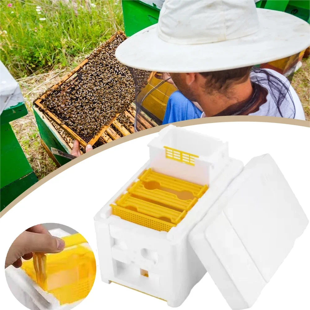 Bee Breeding Box Bee Hive Foam Beekeeping Tool Nest Case