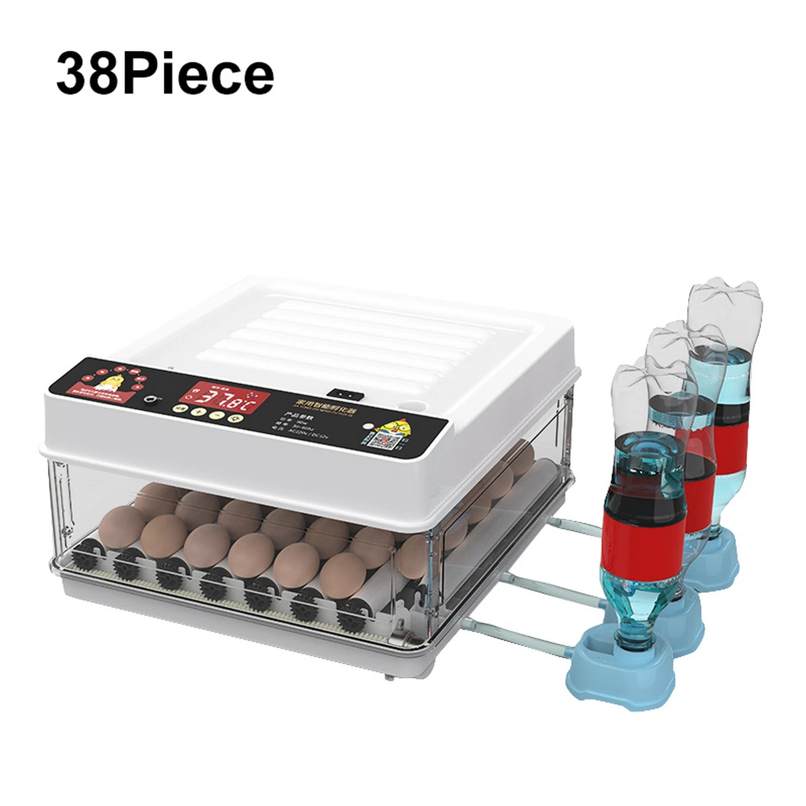 38 Eggs