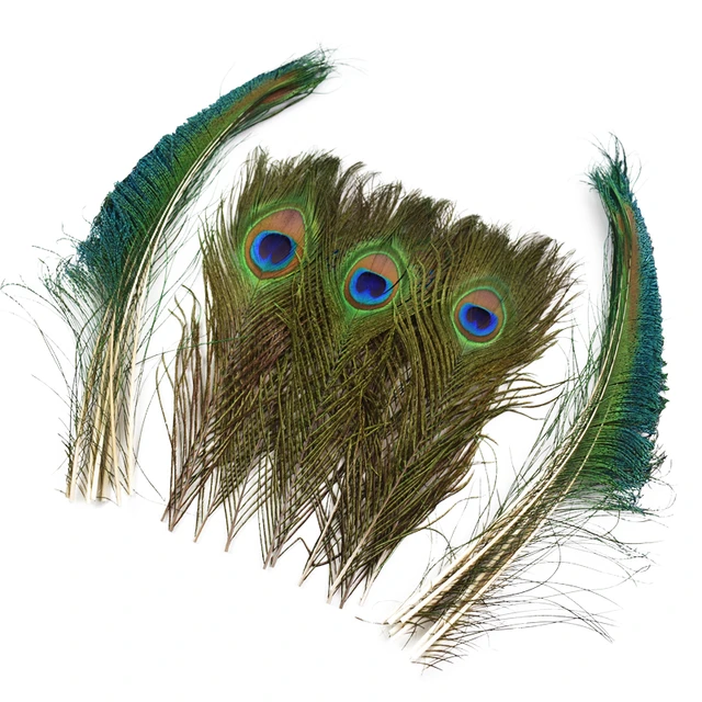 50 plumas de pavo real, plumas verdes de ojo de pavo real para  manualidades, manualidades, arte, plumas de cola de pavo real para  carnaval