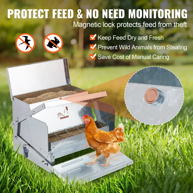 10353-9df03c.jpg SucceBuy Automatic Chicken Feeder 25 lbs Capacity Feeds 10 Chickens up to 11 Days Galvanized Steel Poultry Feeder