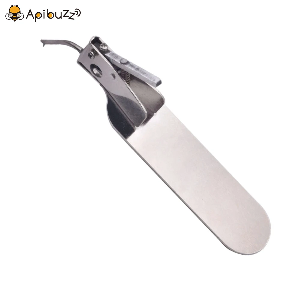 Stainless Steel Master Grafting Tool for Grafting Honey Bee Larvae with Spare Tongue Queen Rearing Tool Beekeeping Supply