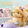 New 13PCS Boxed Electronic Plush Pet Cat Toy Set Children's Simulation Electric Plush Kitten Toy Children's Birthday Gift 2