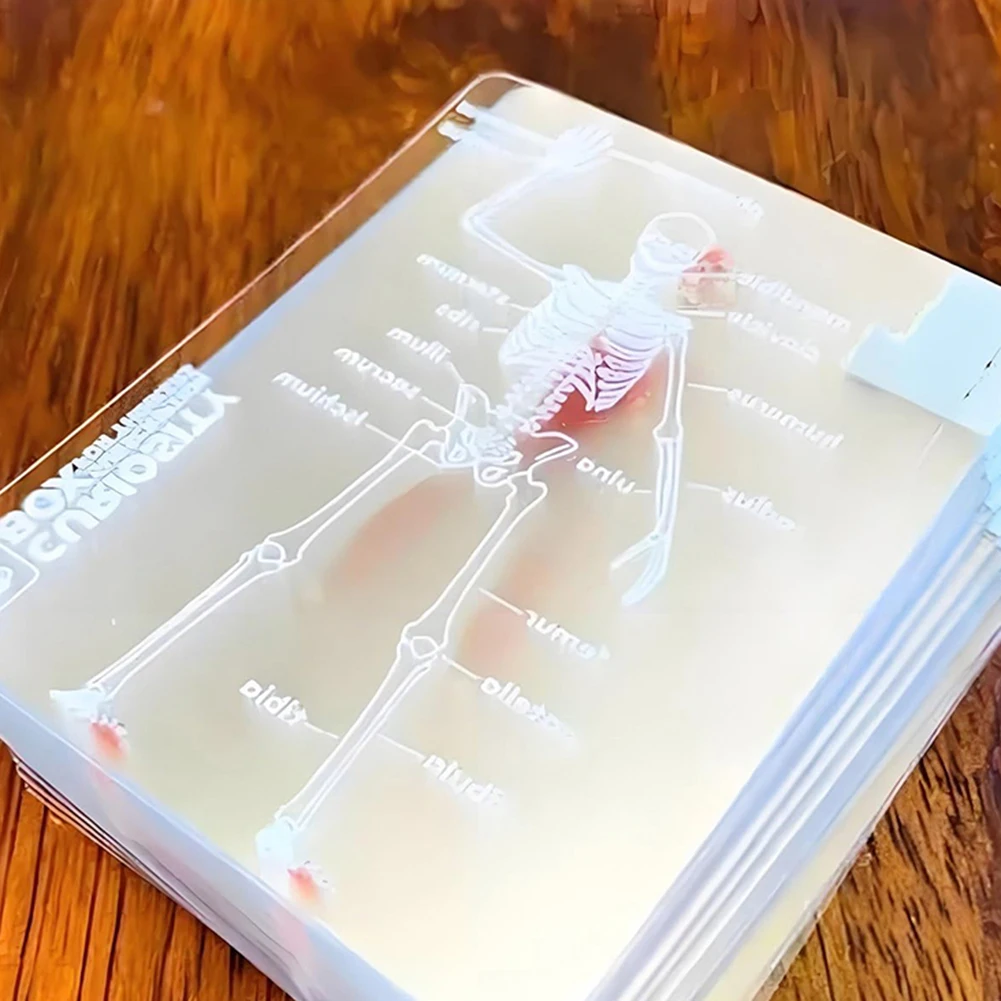 The Body Deck Cards Reusable Body Transparent Playing Cards Multi-Purpose Human Anatomy Playing Cards for Anatomy Enthusiasts