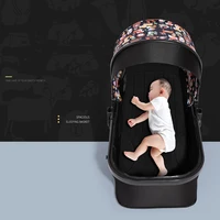 Baby Stroller with Leather Bassinet