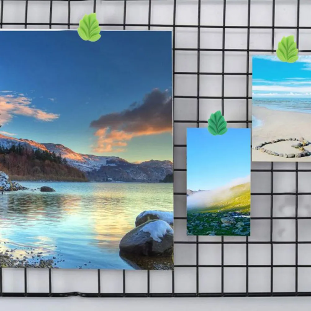 30Pcs 휴대용 잎 푸시핀 패셔너블한 수지 금속 장 못 게시판 메시지 보드 여행 계획 지리학