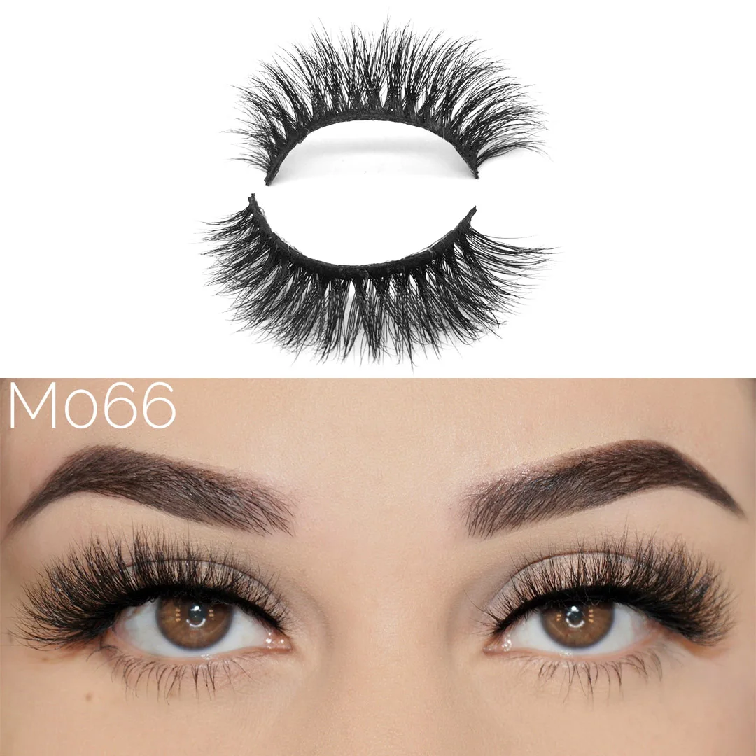 M043-M078 ũ Ӵ ڿ  ε巯 ¥ ũ Ӵ  ũ 100%   ¥ Ӵ Ȯ