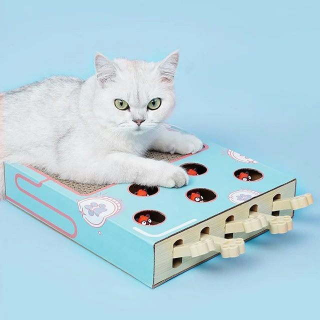 Cat Enrichment Toys for Indoor Cats, Whack a mole cat Toy with cat  Scratching pad, Cat Cardboard Box to Make Lots of Fun, cat Interactive Toy  to Relieve Boredom and Train IQ.