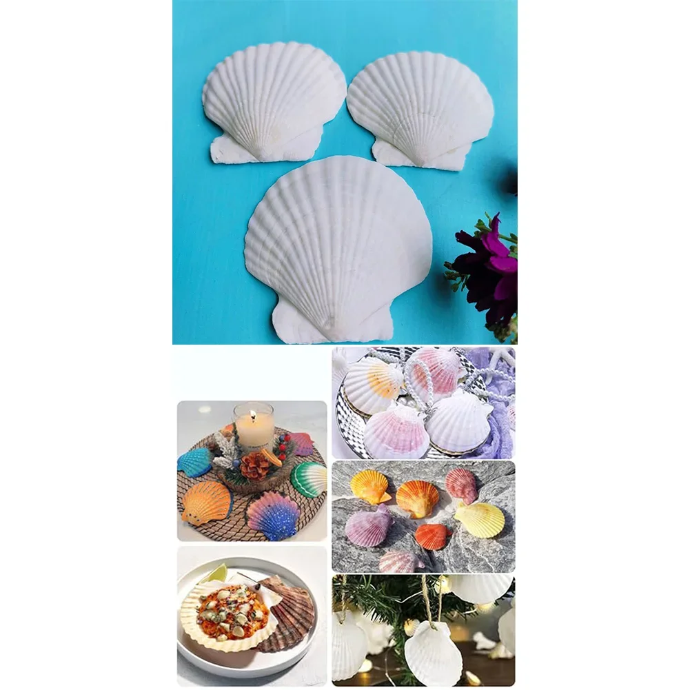 여름 파티 23인용 DIY 공예 조개 장식품 해변 장식 조개 창의적인 DIY 프로젝트 여름 파티 장식