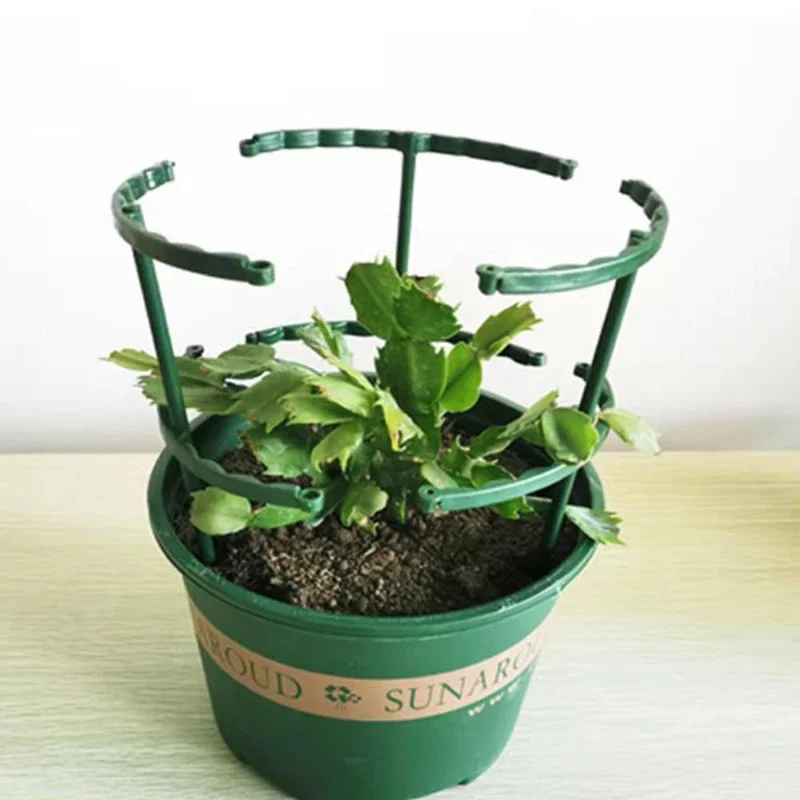 Plastic Plant Supports 12Pcs/Set For Flowers Greenhouse Arrangement Rod Holder Orchard Garden Bonsai
