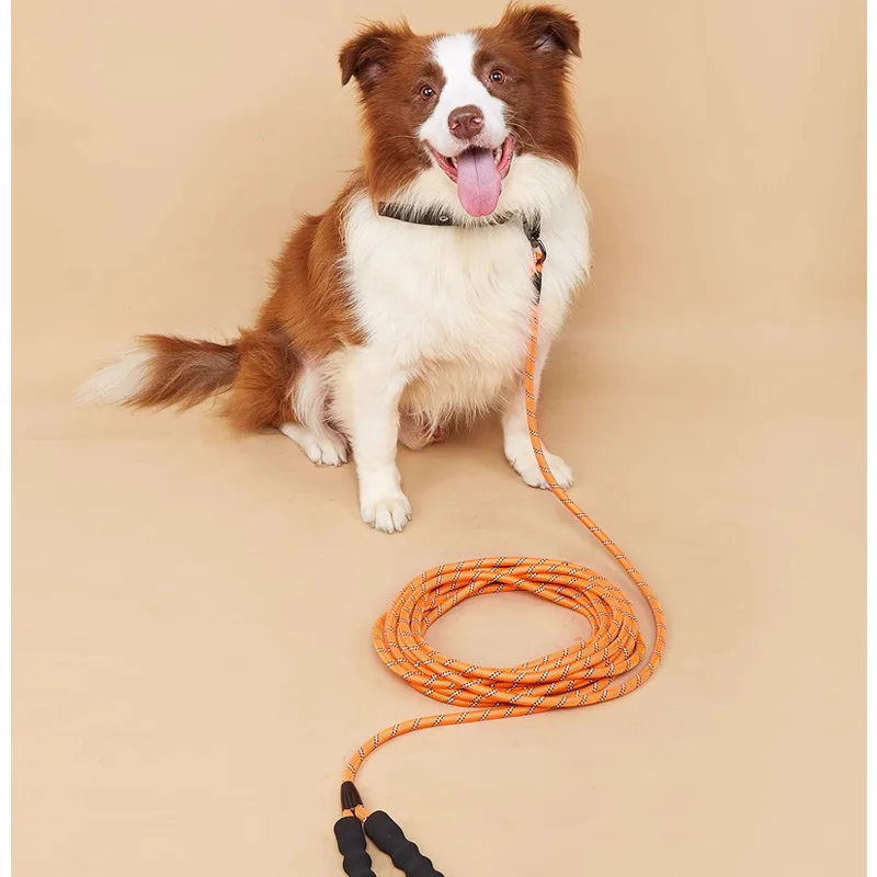 Reflective Nylon Dog Leash with Soft Padded Handle - Durable Training Rope