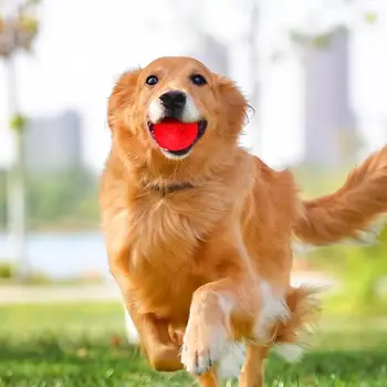 Interactive Dog Ball Toy Dog Jumping Activation Toys Flashing Elastic Chew Toy Light Up Moon Pattern Enrichment Pet Supplies To 3