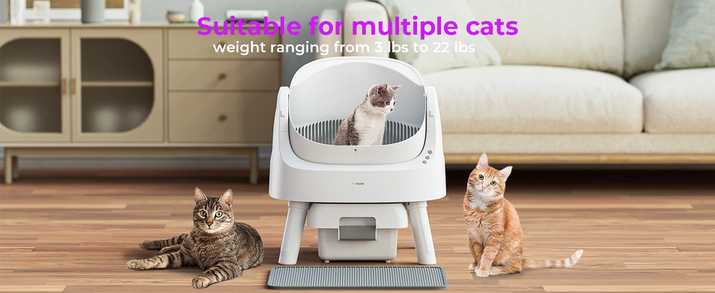 Suitable for multiple cats