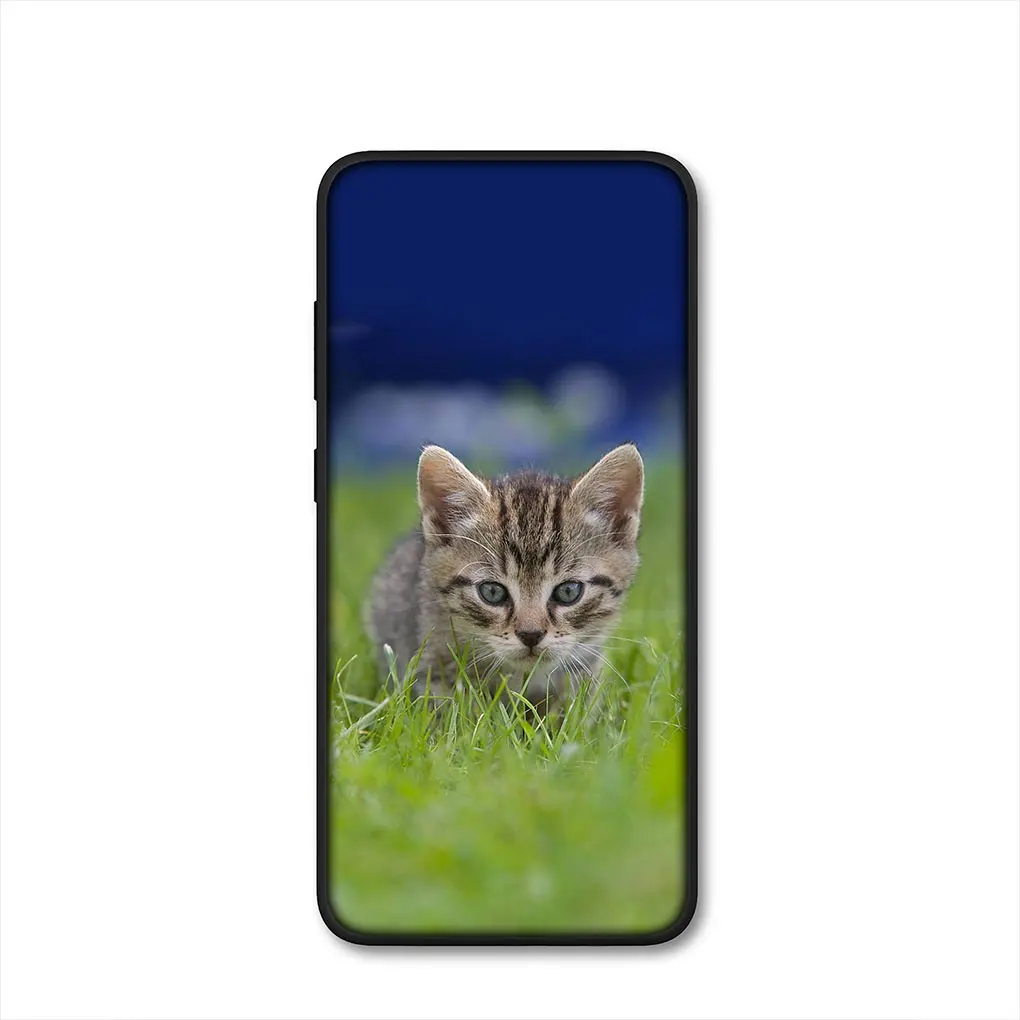 Adorable Kitten Cat Phone Case