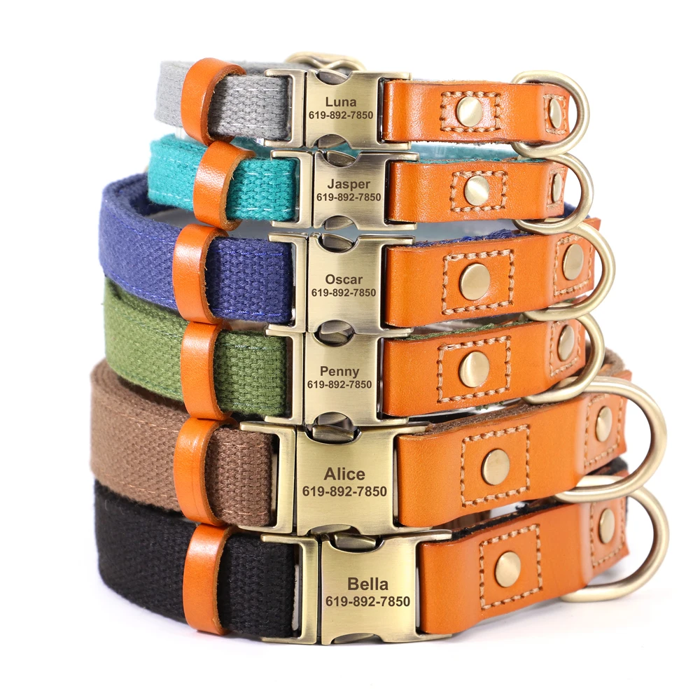 Collari Con Guinzaglio Per Cani | Acquisti Online Su - Foto 10