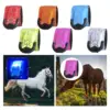 LED Horse Ankle Strap Equestrian Legging Decoration Equestrian Supply Leg 1