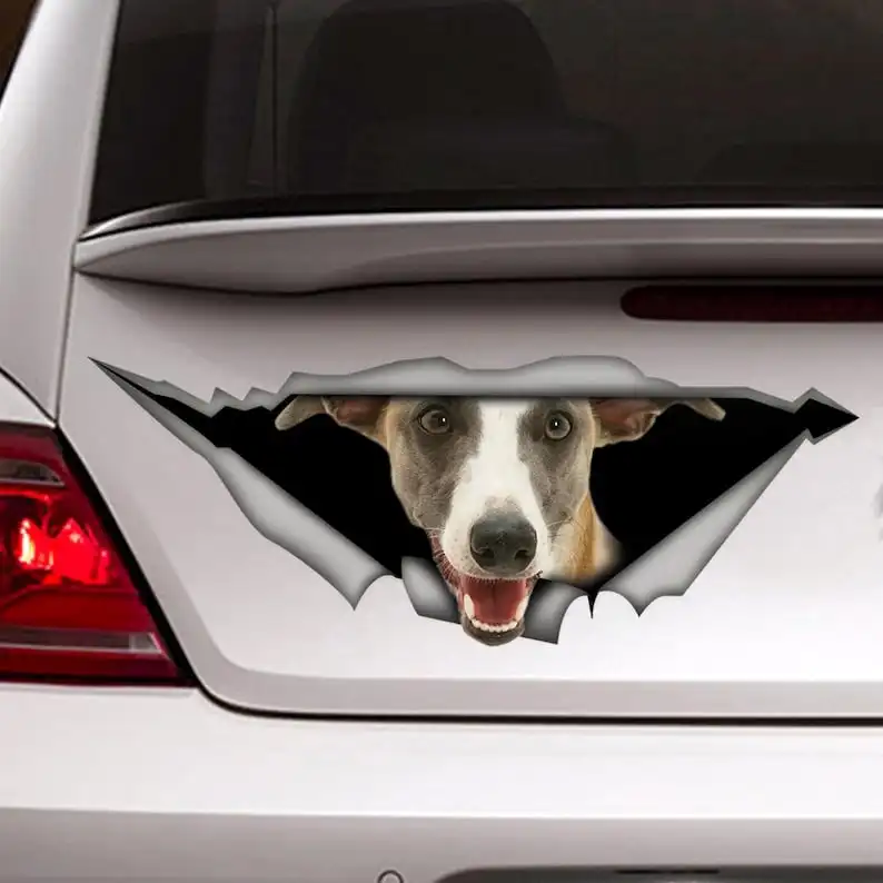 

Наклейка на автомобиль Whippet, фотография, белый магнит, забавная наклейка Whippet