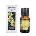 Narcissus