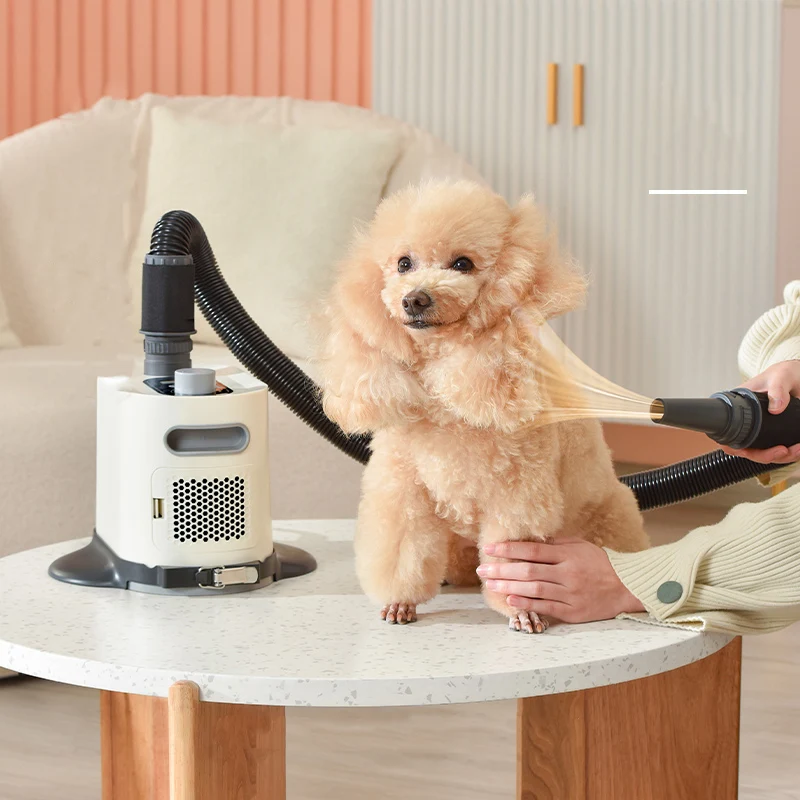 Dog Grooming Dryer 2000W Pet Hair Dryer Dog Cat Grooming Water Blower Warm Wind Adjustable Blow-dryer For Small Medium Large hair dryer pet hair dryer