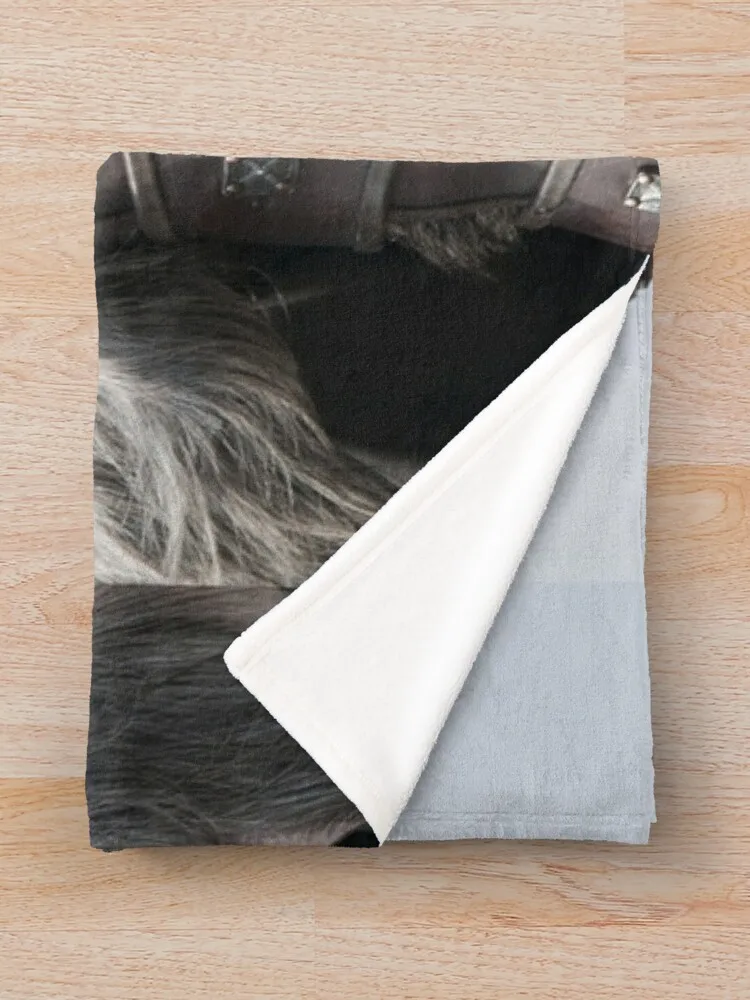 Uhtred of The Last Kingdom ������ ���, ħ�� ���, ��� ���, �ִϸ��̼� ���