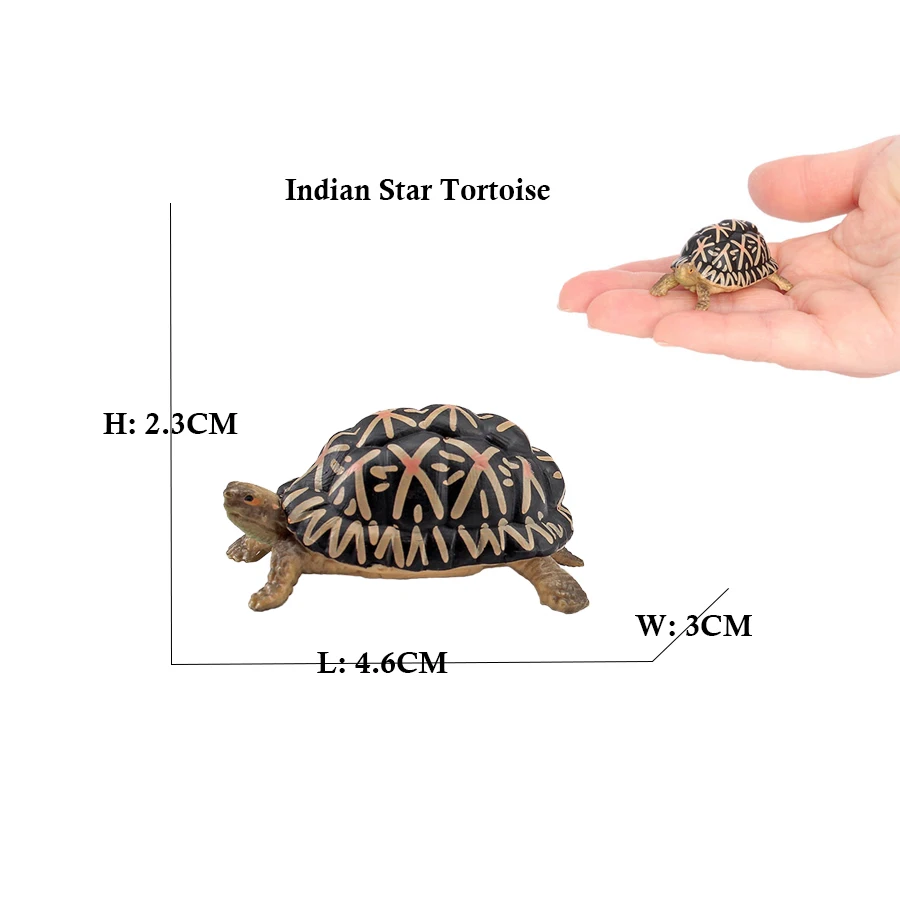 Turtle and Tortoise Action Figure Playset - Sea and Marine Animal Toy Collection