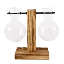 Elegant Glass Terrarium with Wooden Stand for Indoor Decorative Plants (Type B)