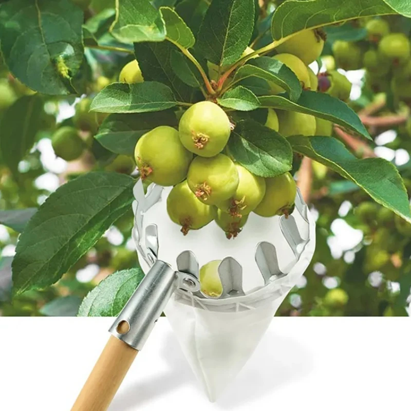 

Metal Fruit Picker High Tree Picking Tools Orchard Gardening Peach Collection Pouch Farm Garden Tools