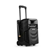 street use wooden charging 8'' subwoofer mobile bt wireless karaoke trolley speaker