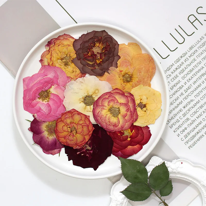 

12pcs/3-4cm,Real Rose Head,pressed flower DIY Drop Glue Decor Photo Frame Bookmark Wedding Festival Greeting Cards phone case