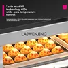 SGF intelligent memory electric oven commercial, two-layer two-plate pizza oven 3