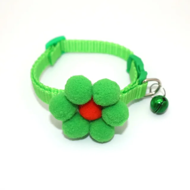 Image 21