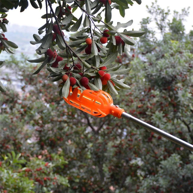 1Pc High-altitude Plastic Fruit Picking Tool Garden Orchard Field Basket Fruit Picker Head Apple Pear Peach Lemon Fruits Picking 5