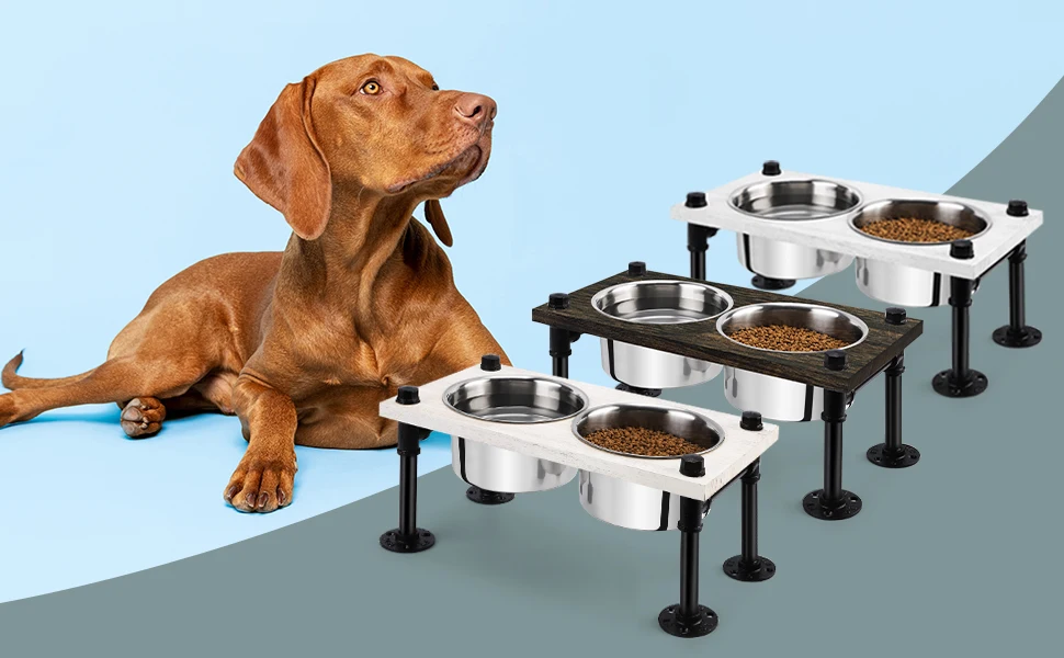 dog bowls