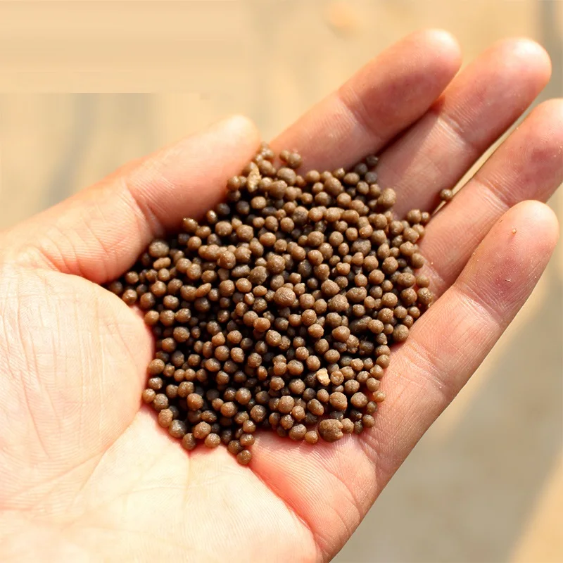 1kg diammonium phosphate DAP Plant, fruit, vegetable and flower plants, general organic manure compound fertilizer for rose