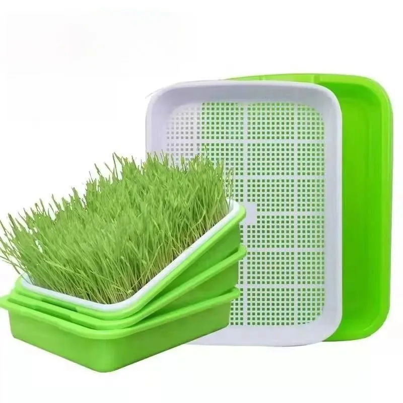 1set prout Sprout Pot Sprout Vegetable Seedling Tray Soilless Cultivation Hydroponic Equipment Pea Planting Bean Seedling
