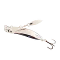 Image 16