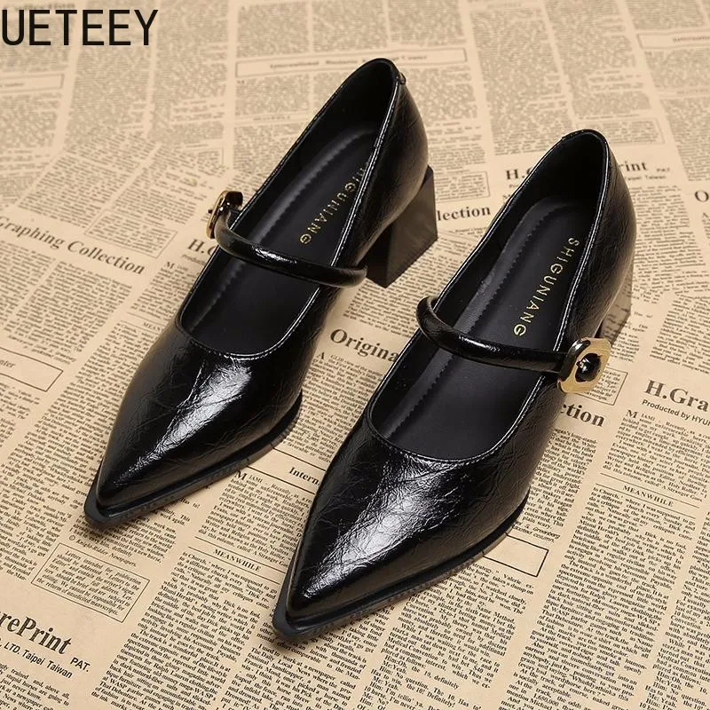 Designer Vintage Pointed Toe Women Mary Jane Shoes Fashion Shallow Buckle Shoes Ladies Elegant Dress Thick Heel Shoes 4