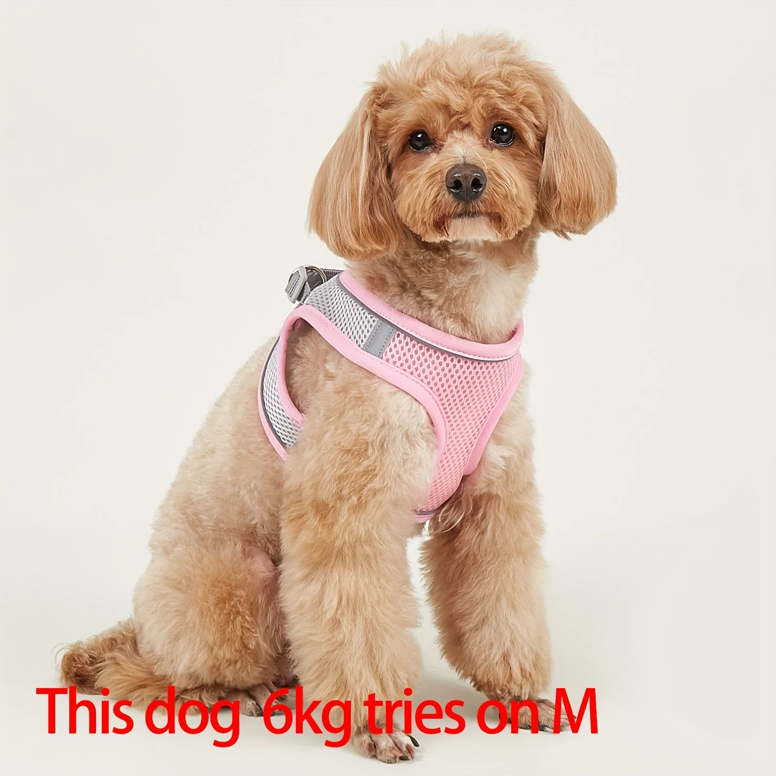 Pet Harness  Soft Mesh Cat  Dog Vest With Reflective Strip For Small  Medium Dogs ，Comfy  Safe