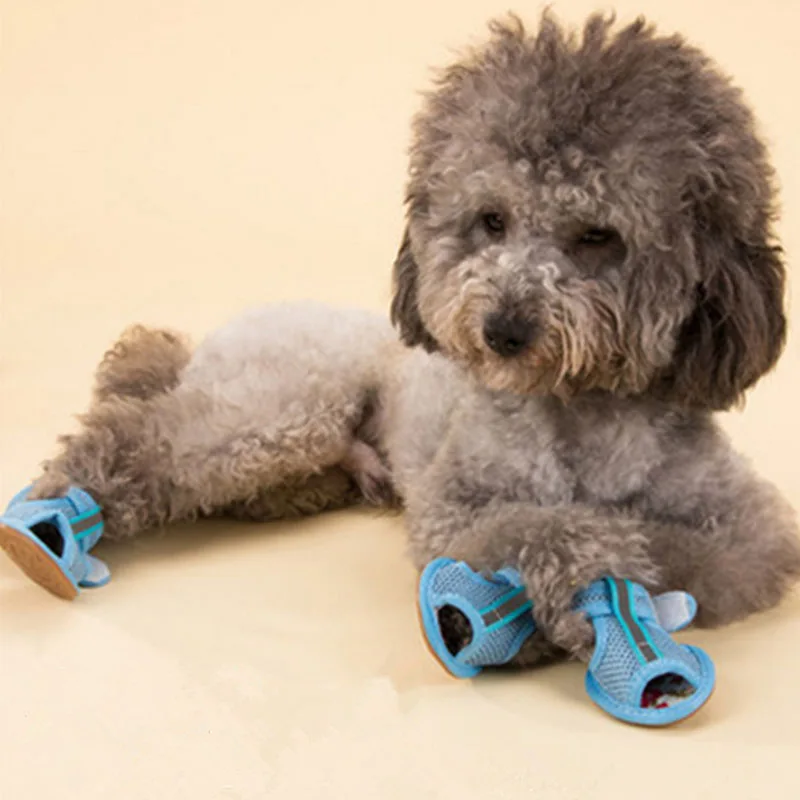hot weather shoes for dogs