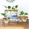 Desktops Plant Terrariums with Wooden Stand Propagations Stations Elegant Clear Glass Bulb Vase Planter for Hydroponics 2