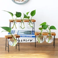 Desktops Plant Terrariums with Wooden Stand Propagations Stations Elegant Clear Glass Bulb Vase Planter for Hydroponics 2