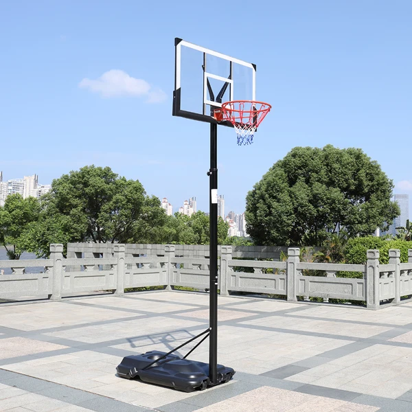 PC透明板 篮框可调节245-305cm 篮球架 成人款 最大适用7#球 N002 LX-B076-47