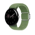13 Cactus color