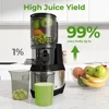 W Slow Masticating Juicer Machines for Whole Fruits and Vegetables, 4