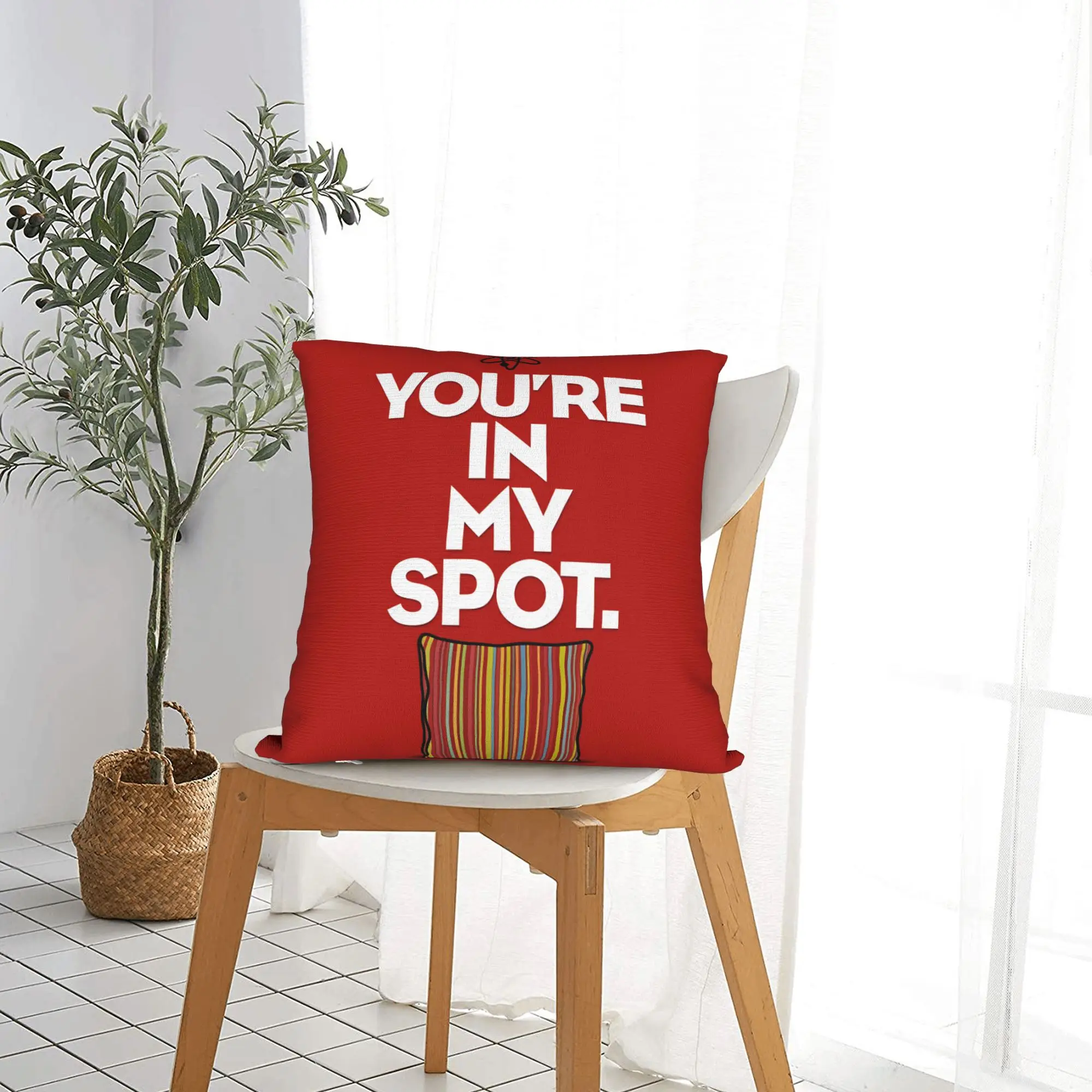 Funny TV Show-Inspired Pillowcase - Soft and Kawaii Decor for Couch, Sofa, or Bedroom