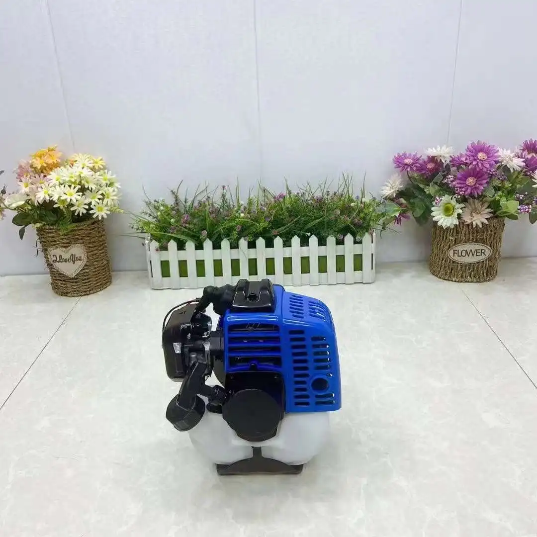 1E34F GASOLINE ENGINE 2 STROKE PETROL MOTOR HEDGE TRIMMER EARTH DRILL AUGER HIGH BRANCH SAW ARGRICULTURE GARDEN POWER TOOLS 6