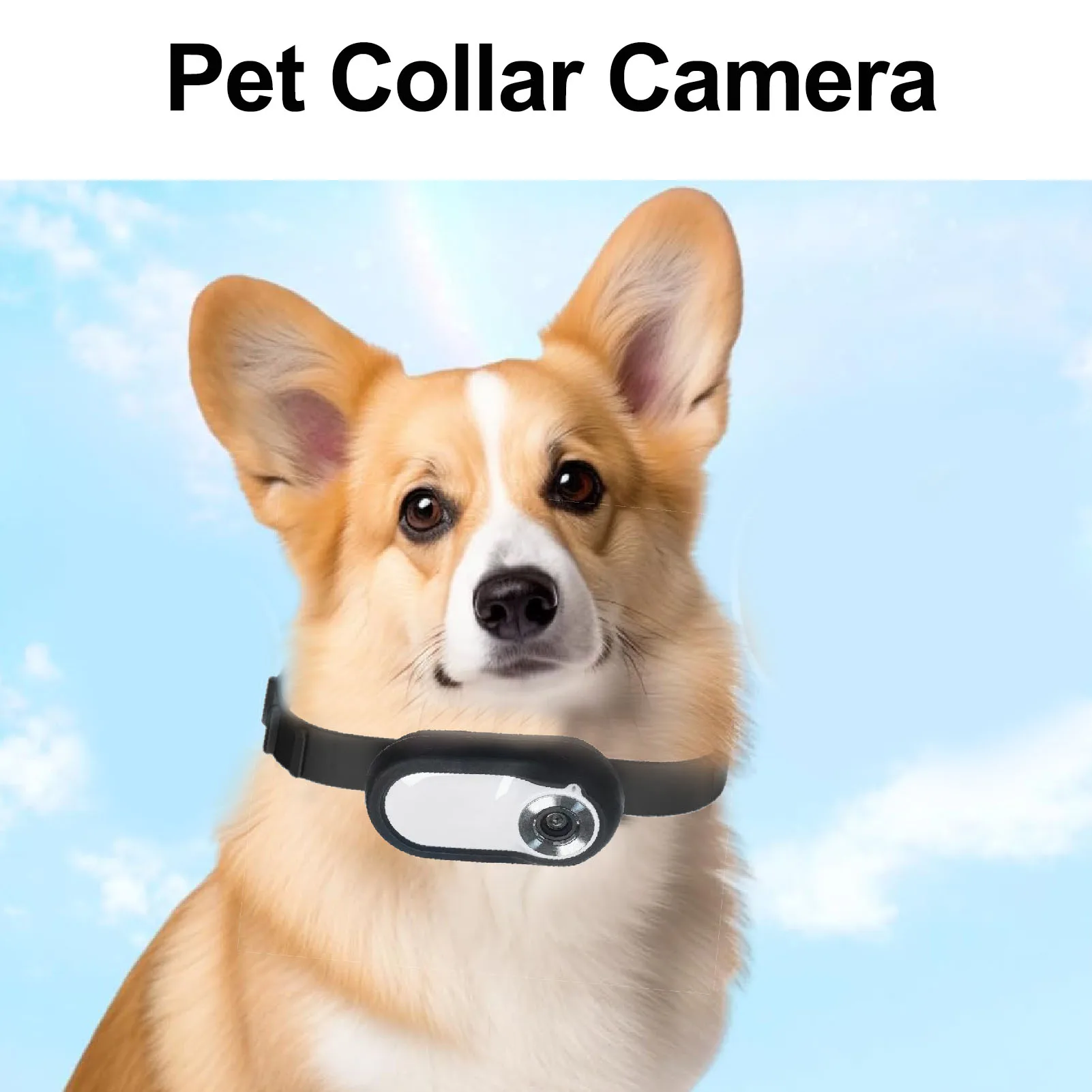 Pet Collar Camera 160&deg; Ultra Wide Angle Lightweight 32G Small Memory Card Compact Pet Sports Camera with Back Clip for Cat Dog
