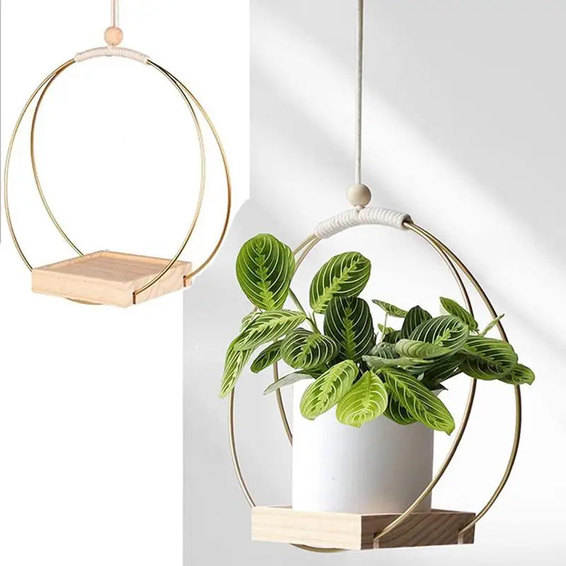 

Planter Hangers Indoor Sturdy And Durable Beautiful Design Versatile Decoration Indoor And Outdoor Flowers Wall And Ceiling Plan